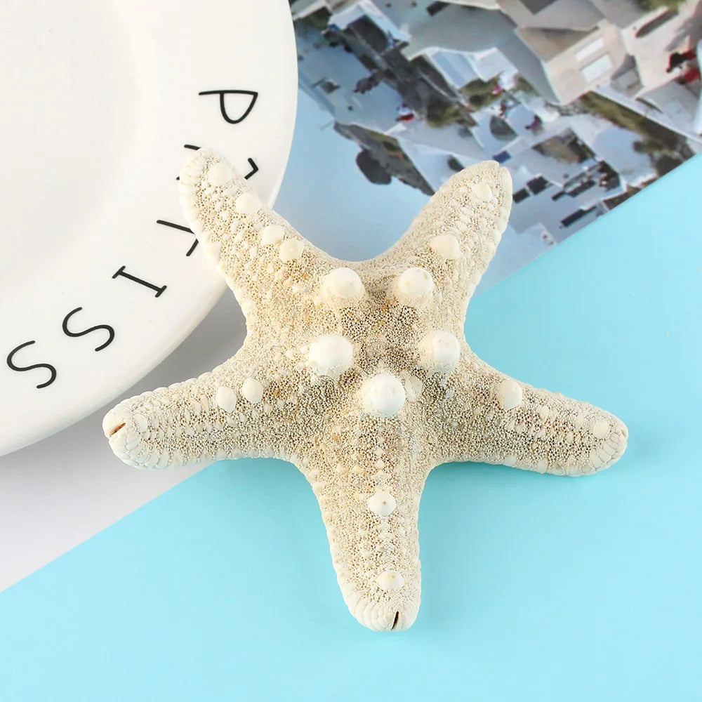2Pcs Fashion Starfish Hair Clip Star Sea Hairpin Women Elegant Natural Beach Jewelry Hair Accessories