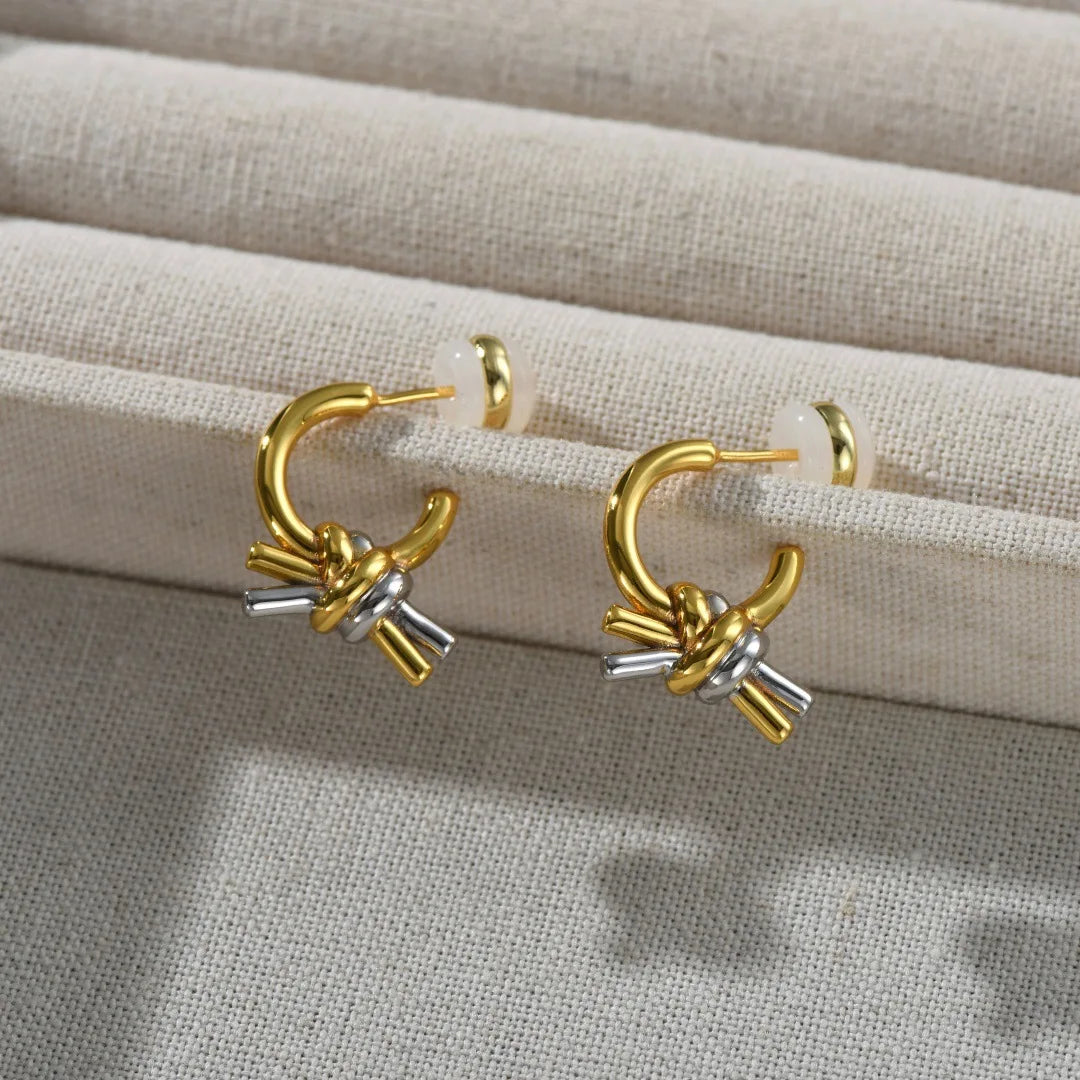 2025 New Fashion Europe America Gold Silver Knotted Earrings Woman Designer Charm Jewelry Trend
