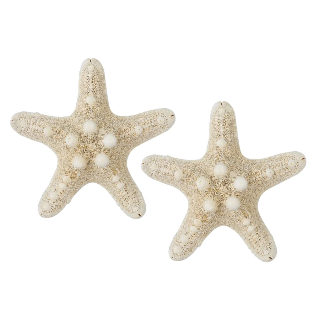 2Pcs Fashion Starfish Hair Clip Star Sea Hairpin Women Elegant Natural Beach Jewelry Hair Accessories