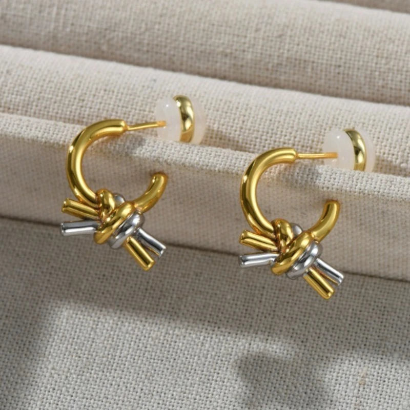 2025 New Fashion Europe America Gold Silver Knotted Earrings Woman Designer Charm Jewelry Trend